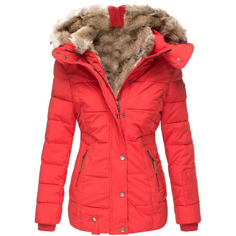 "Damen Winterjacke mit Pelzkapuze, wind- und wasserabweisend, elegante Passform, warmes Pelzfutter, stilvoll in Blau."