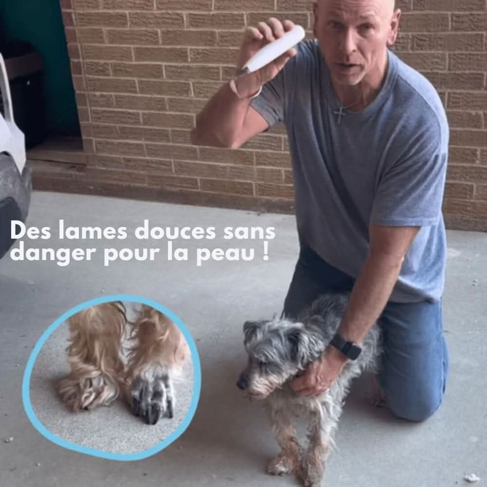 "Geräuscharmer Haustierschneider schneidet sanft Pfotenfell; ergonomisch, LED-Licht, ideal für empfindliche Stellen."