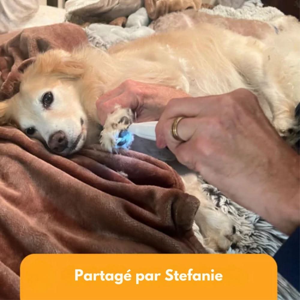 "Geräuscharmer Haustierschneider schneidet sanft Pfotenfell; ergonomisch, LED-Licht, ideal für empfindliche Stellen."