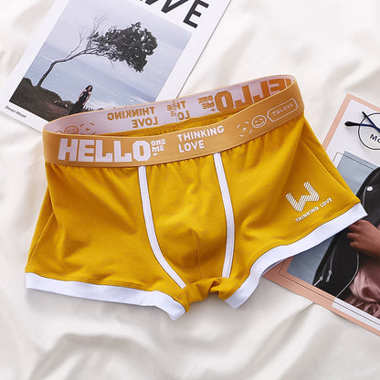 "Herren Boxershorts 8er Pack: Elegantes, vielseitiges Design in verschiedenen Farben, ideal für Komfort und Stil."