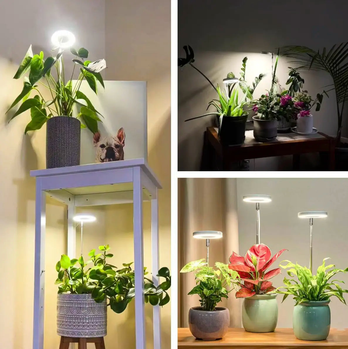 "LED Pflanzenlampe mit Vollspektrumlicht und höhenverstellbarem Ständer für optimales Pflanzenwachstum."