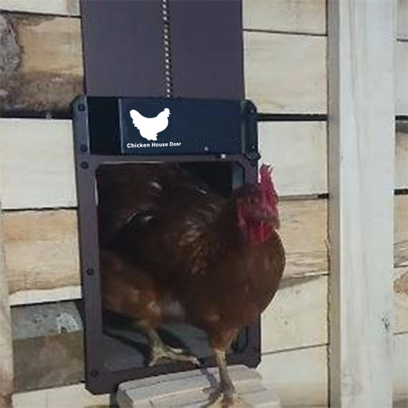 Enkel installasjon av automatisk hønsehusdør med lysensor. Gir trygghet og sparer tid for gårdeieren.