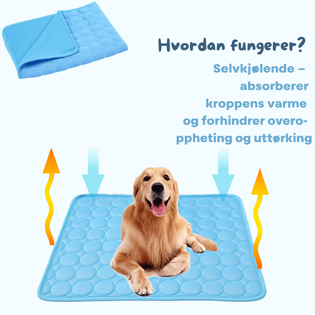 Glad hund slapper av på pustende kjølematte, perfekt for avkjøling og dyrevelvære i sommervarmen.