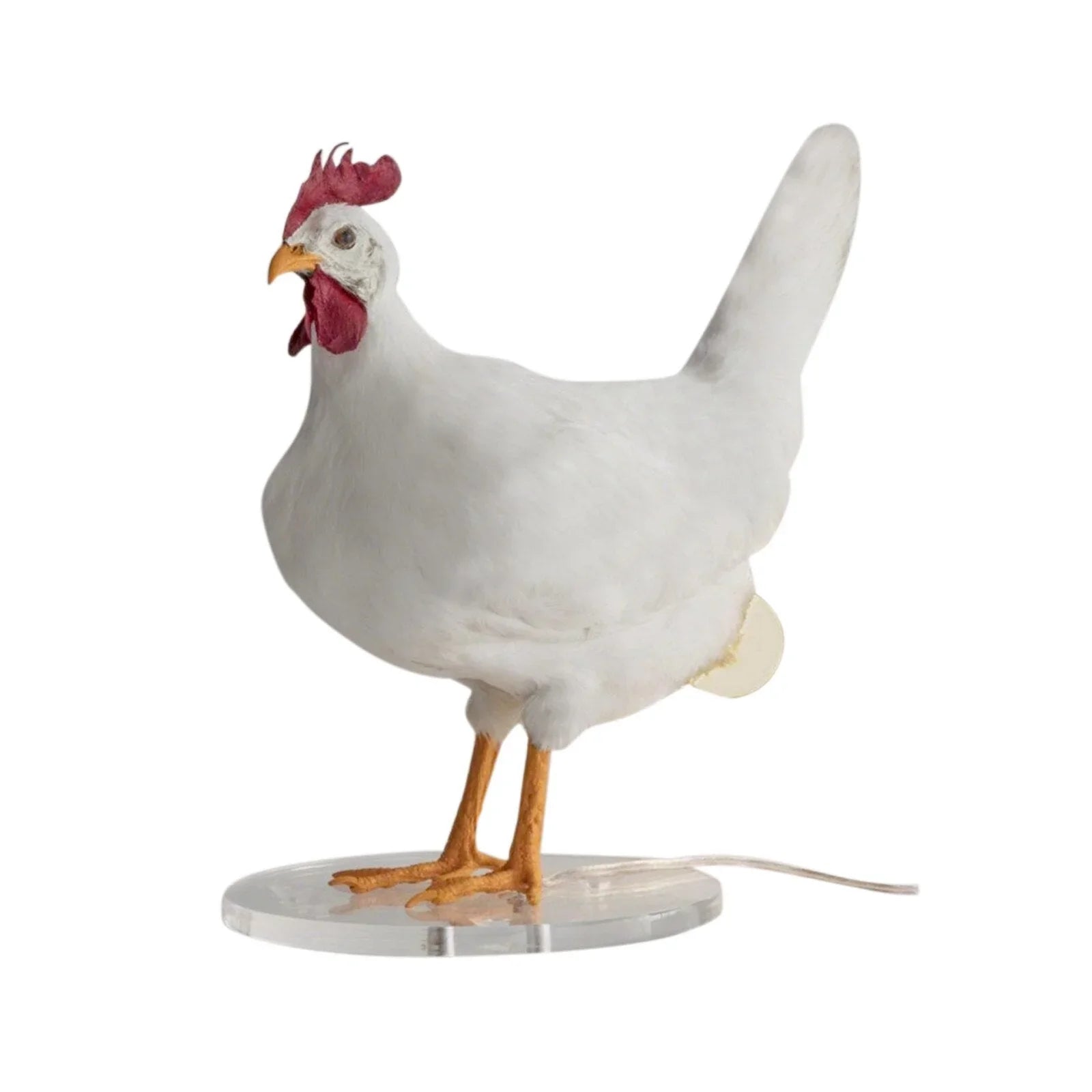 Dekorativ kyllinglampe i resin med lekent design. Unik belysning som pynter ethvert hjem.