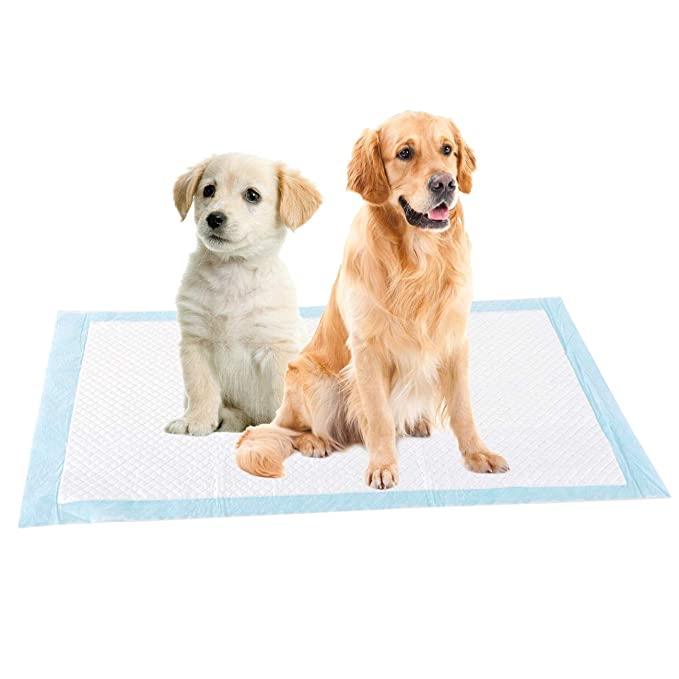 Engangs tisseputer for hund og valp. Absorberende og lekkasjesikker hygiene for pottetrening.