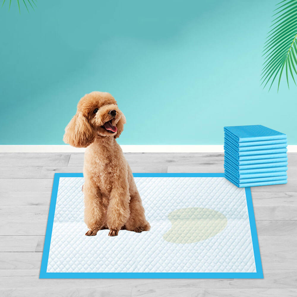 Myke, absorberende engangs tisseputer for hund. Lekkasjesikker overflate for optimal hygiene.