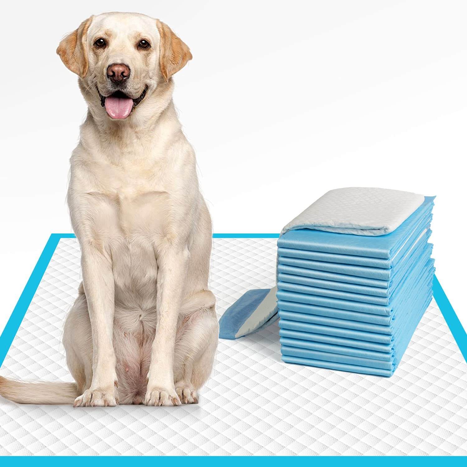 Effektiv pottetrening med engangs tisseputer for valp og hund. Sikrer hygiene og et rent hjem uten søl.