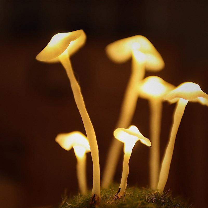 Lettlaget gjør-det-selv sopplampe; en sjarmerende bordlampe som lyser opp ditt hjemmedekor.