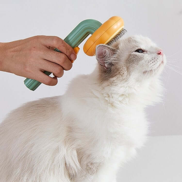 Multifunksjonell gresskar kjæledyrbørste. Enkel rengjøring, ideell for hund og katt, god pelspleie.