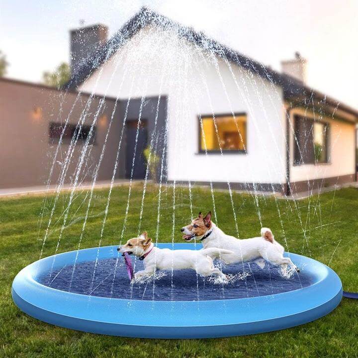 Kjæledyr nyter sommeren med forfriskende vannlek på interaktiv sprinklermatte.