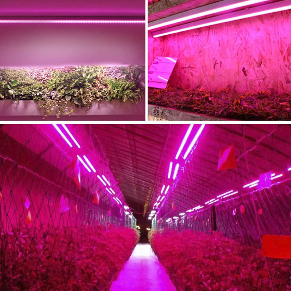 Stilig LED-plantelys i stuen, gir fullspektrum vekstlys til grønne stueplanter, moderne plantetilbehør.