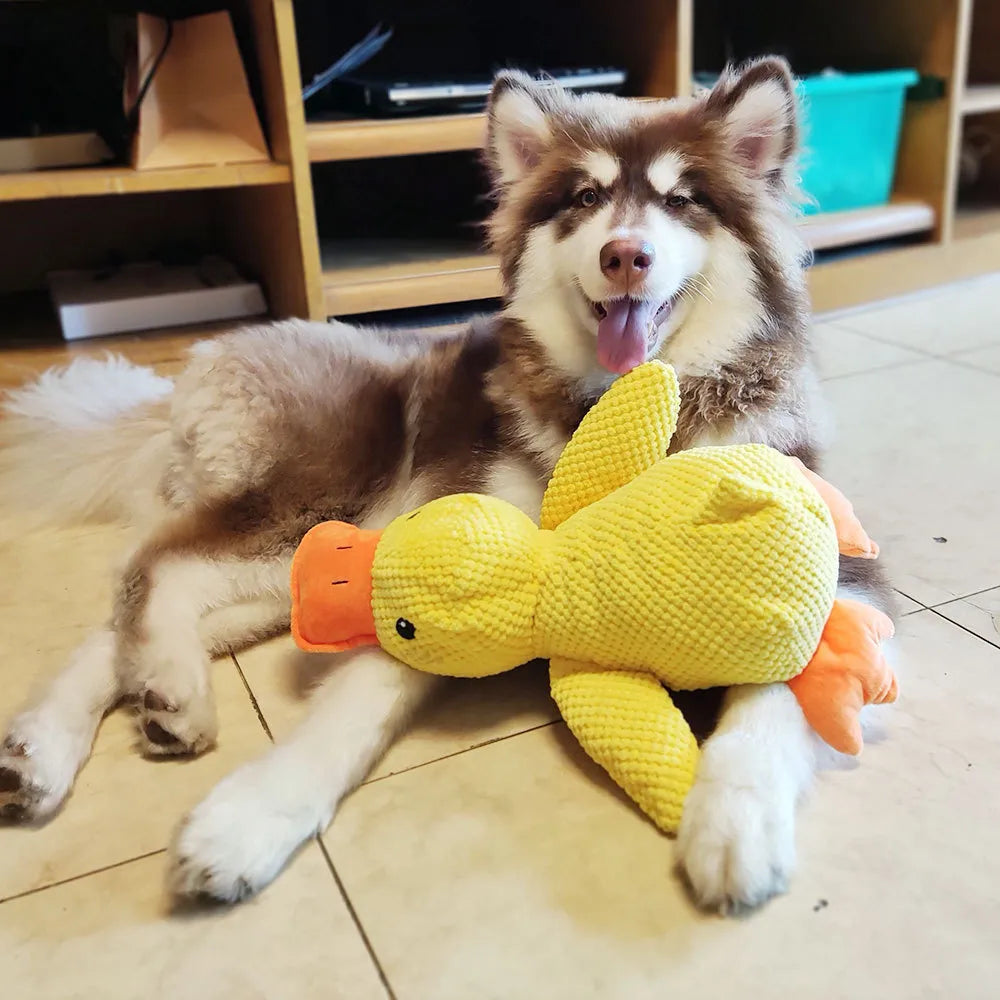 Slitesterk interaktiv andeleke for hund med lydeffekter. Perfekt bittbestandig valpeleke for lek og trening.