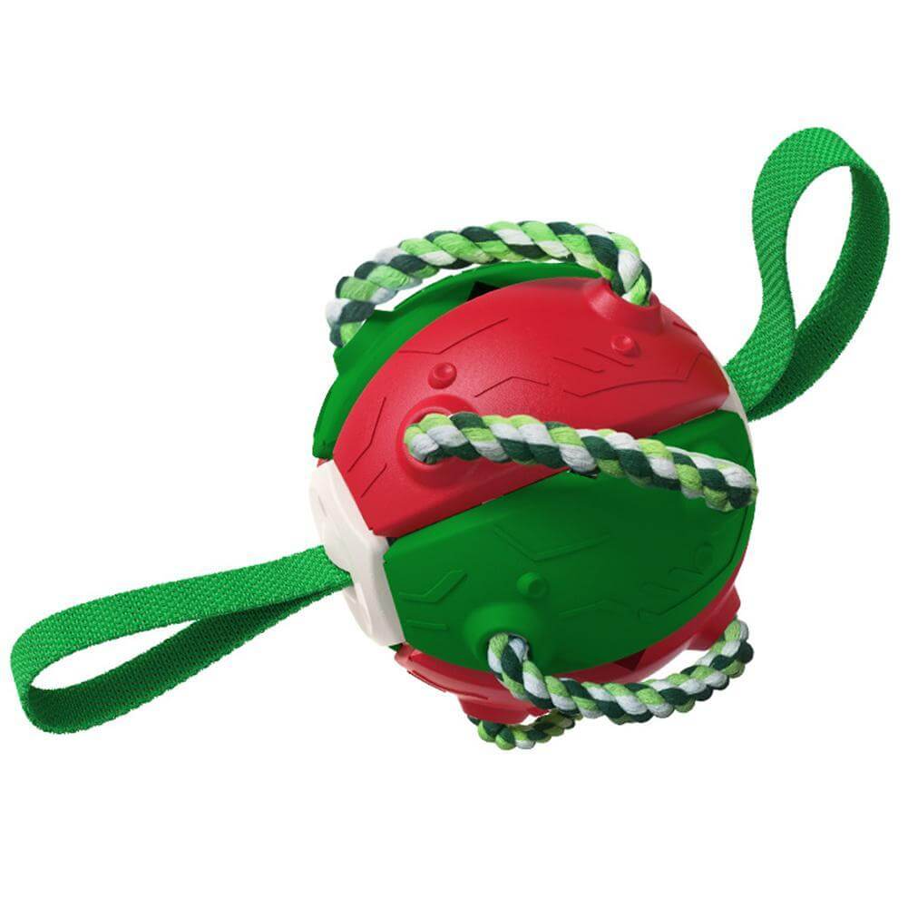 Fargerik interaktiv frisbee ball: Lett å se på gress. Engasjerende leke for trening og uteaktivitet.