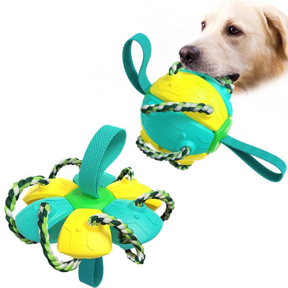 Perfekt kjæledyr-leke: Robust frisbee ball for utelek. Ideell for kaste- og fangstlek med hunden.