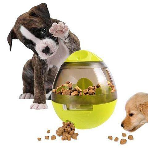 Glad hund leker med materball, får belønning i form av hundemat for smart lek.