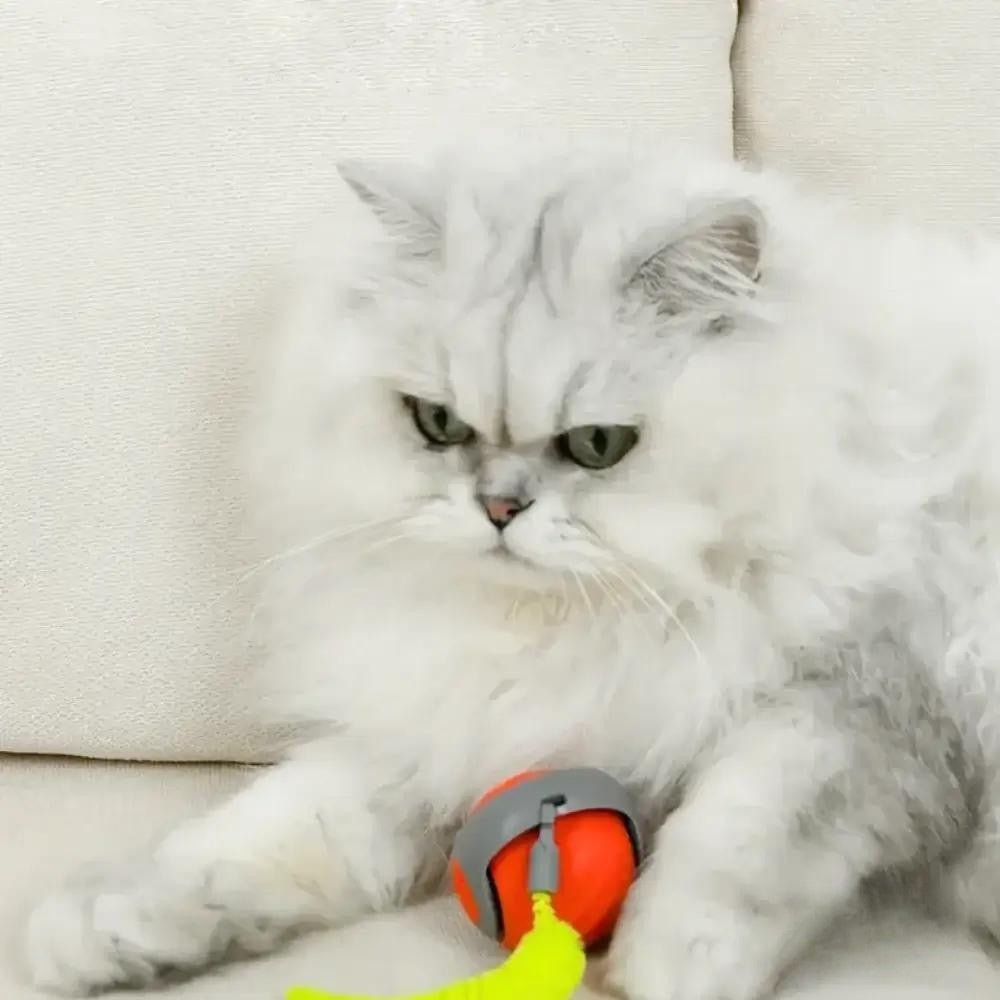 Dynamisk katteleke som forvandler leketid til en spennende jakt for din katt.