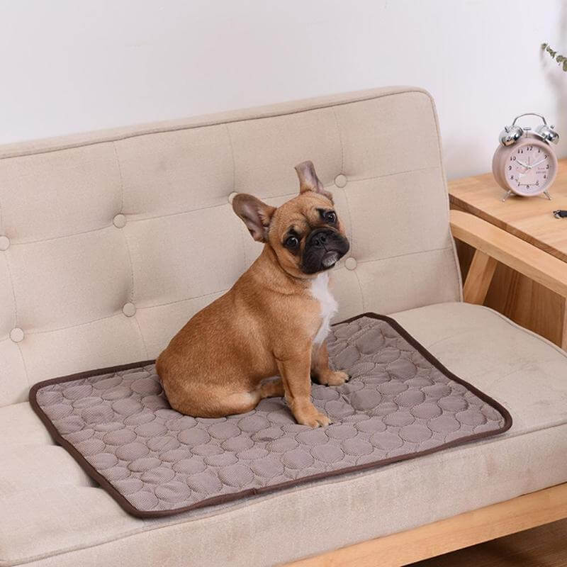 Vaskbar og lett reismatte for hund og katt; gir svalende komfort overalt.