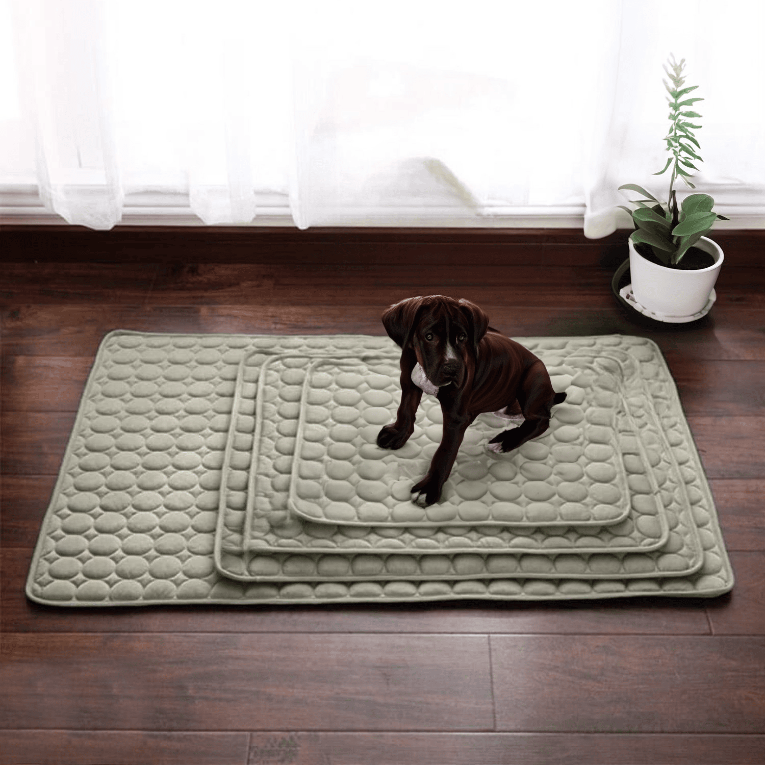 Essential kjølematte til hund for sommeren. Holder kjæledyret svalt og komfortabelt på varme dager.