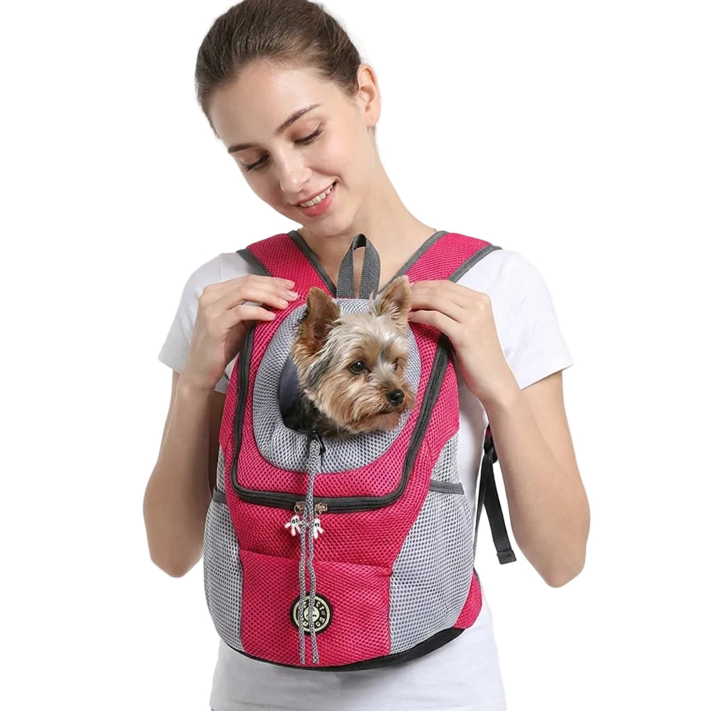 Sikker og komfortabel hunderyggsekk med god ventilasjon for valp og liten hund på tur.