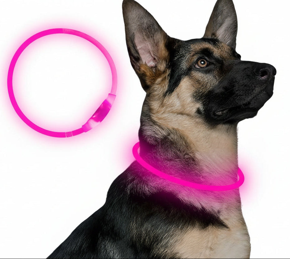LED hundehalsbånd med USB forbedrer synlighet og sikkerhet for hunden i mørket.
