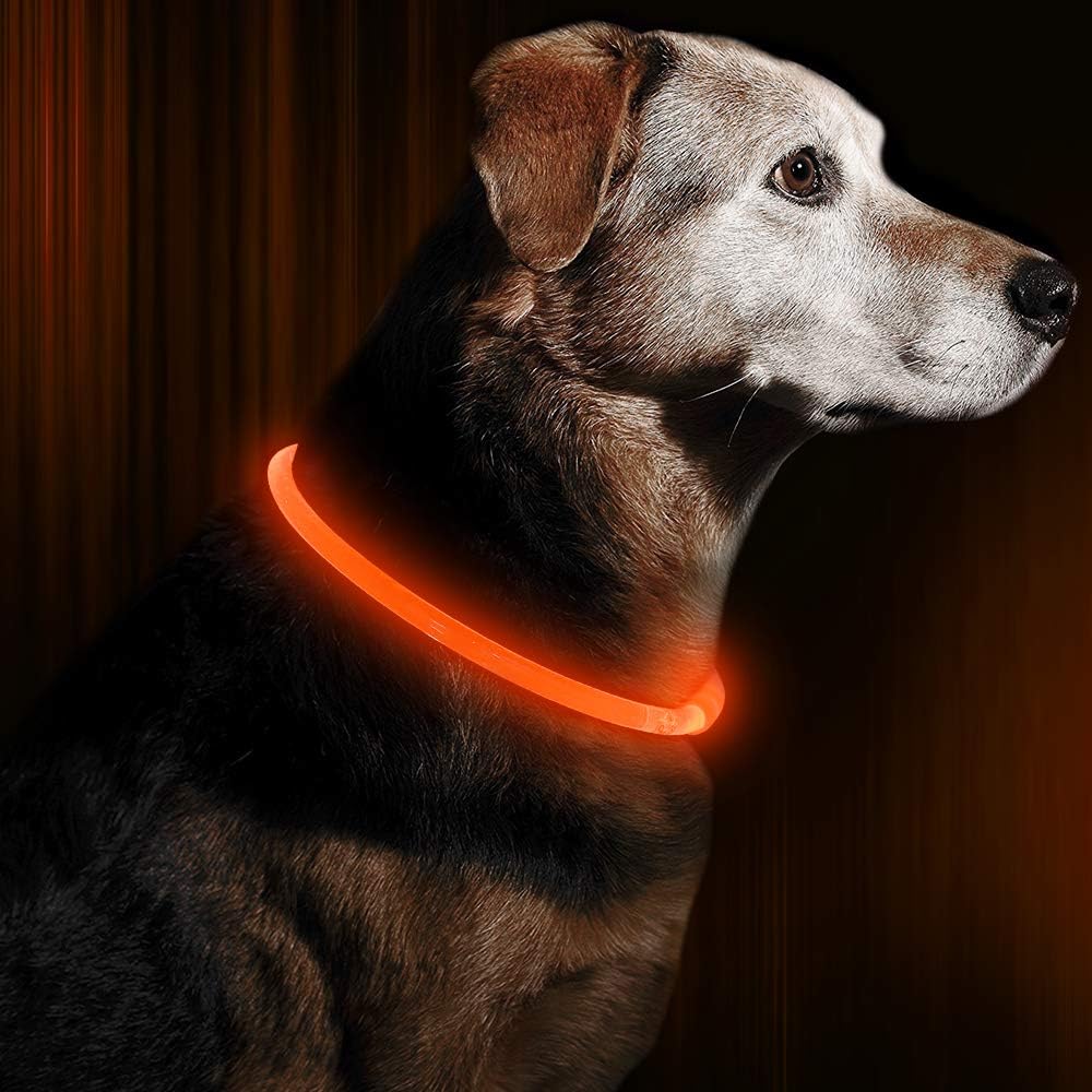USB-port for enkel og miljøvennlig oppladning av det lysende LED hundehalsbåndet.
