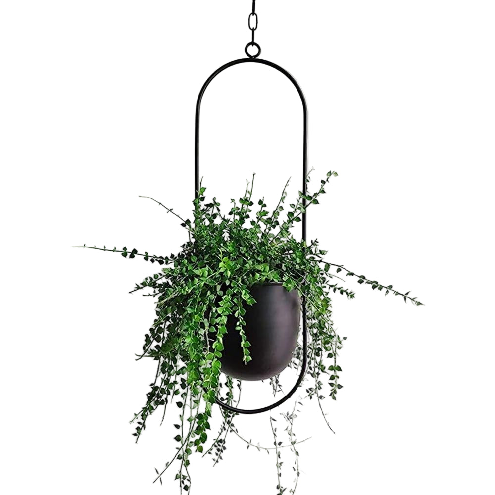 Moderne veggplanteholder for innendørsplanter. Elegant minimalistisk design for hjemmeinnredning.