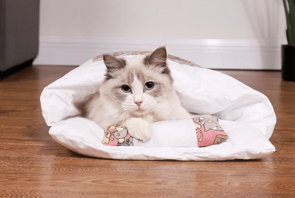 Skap et trygt fristed for katten med denne myke, varme soveposen.