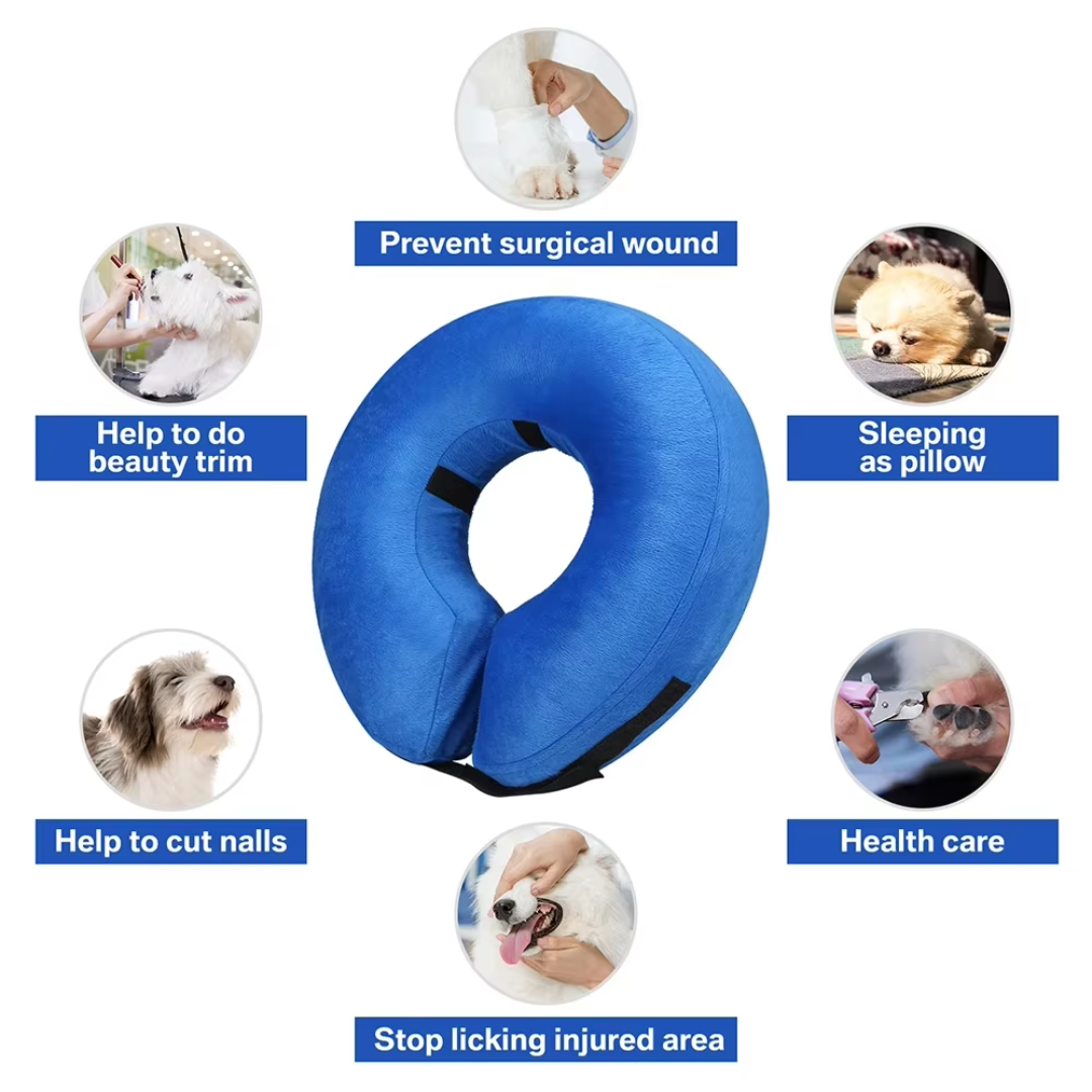 Slitesterkt og enkelt å bruke oppblåsbart hundehalsbånd. Optimalt dyreutstyr for pleie.