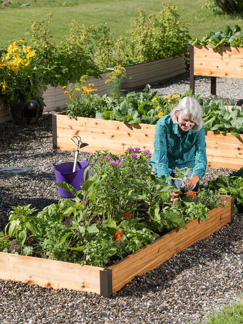 Frodig hagebed med varierte planter som blomstrer, beriket med vekstfremmende plantegjødsel for hagebruk.