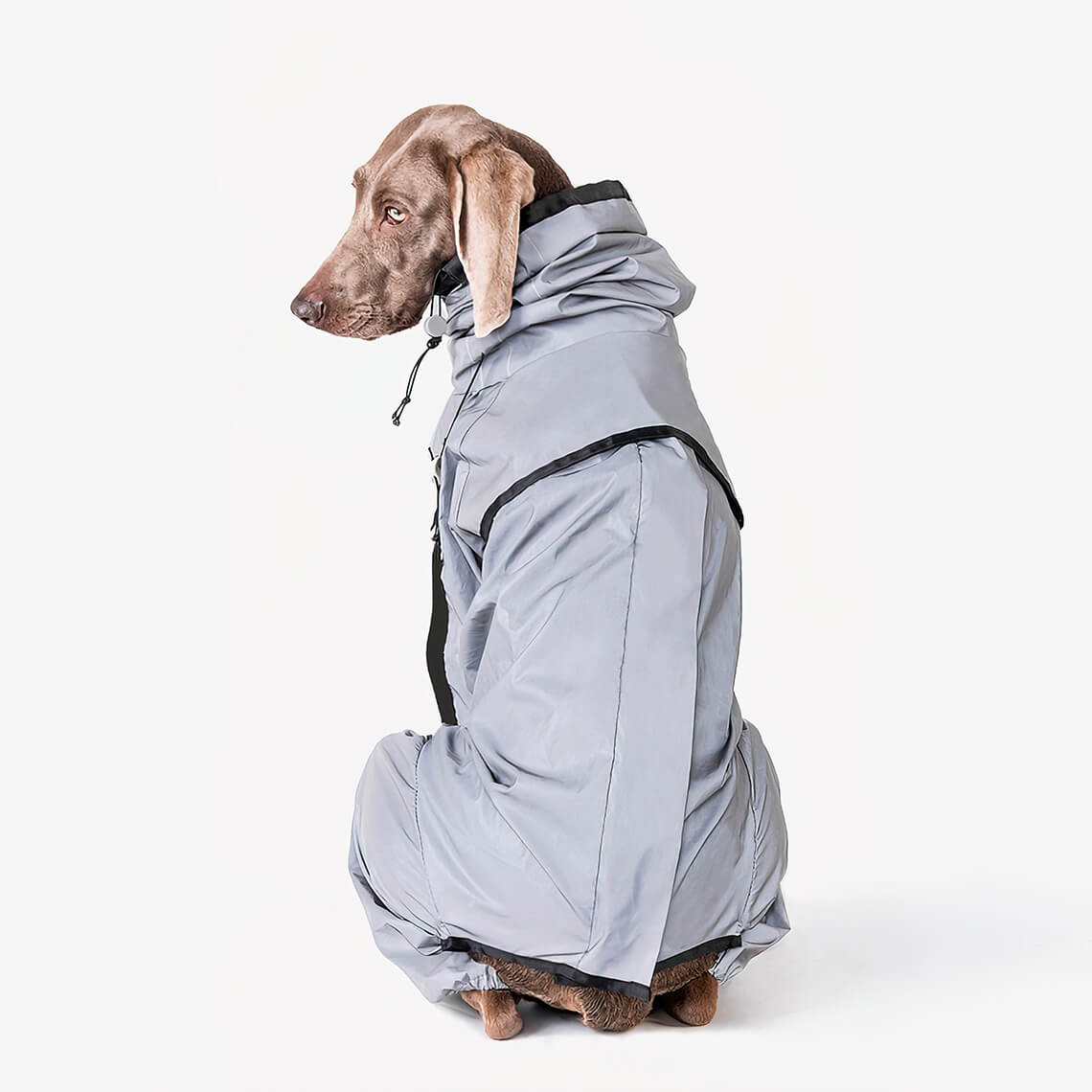 Vindtett hundedekken: Vanntett og vindtett hundedekken med refleksstriper for økt sikkerhet i trafikken.
