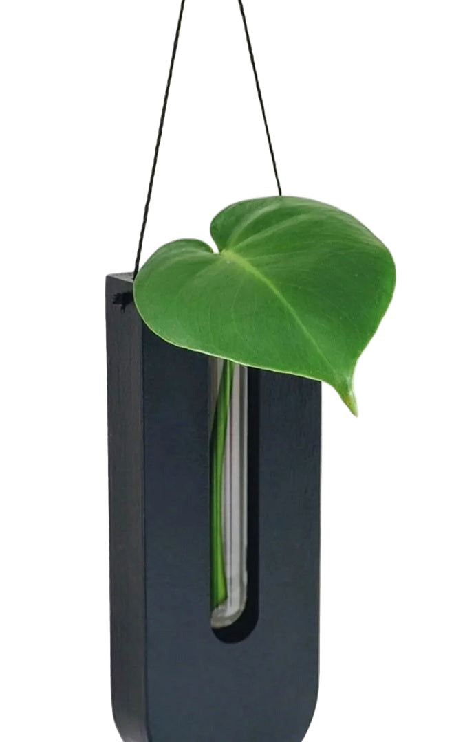 Rustikke vegghyller i tre for husplanter, 7-dels sett. Perfekt veggdekor for grønne planter i hjemmet.