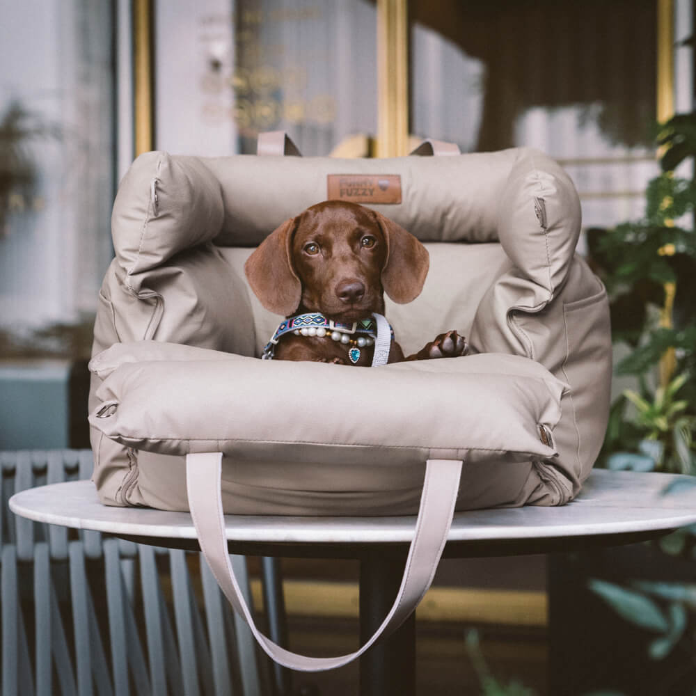 En glad hund slapper av i et sikkert og komfortabelt hundebilsete, klar for eventyr på veien i trygghet.