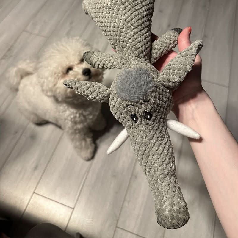 Slitesterk interaktiv tyggeleke for hund, bidrar til aktivitet og mental stimulering.