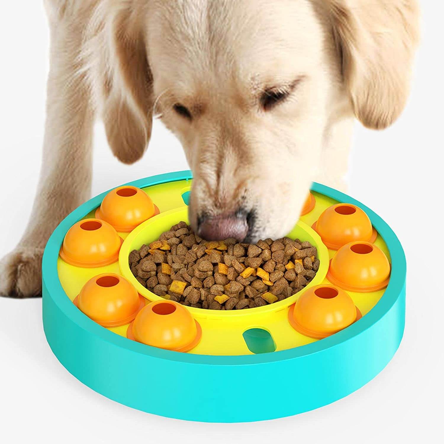 Smart Fôringsleke til Hund – Mental Stimulering og Sakte Spising
