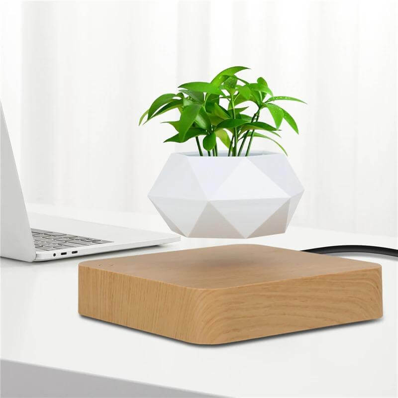 Magisk svevende plante i en magnetisk levitasjonspot. Ideell for moderne innredning.