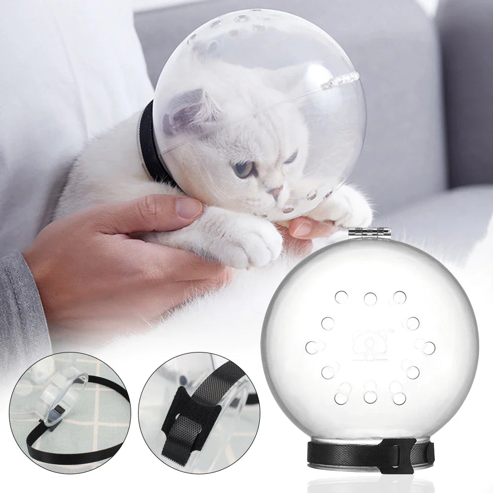 Komfortabel transparent pleiehjelm til katt, gir anti-bite beskyttelse under stell.