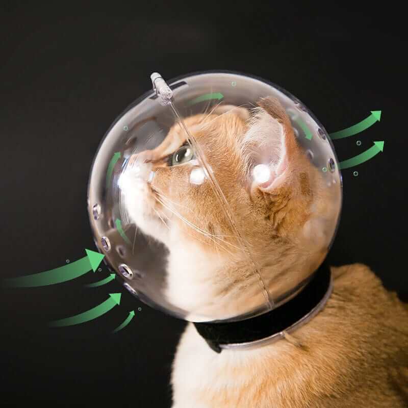 Nærbilde av transparent pleiehjelm for katt, med justerbare stropper for sikker anti-bite beskyttelse.