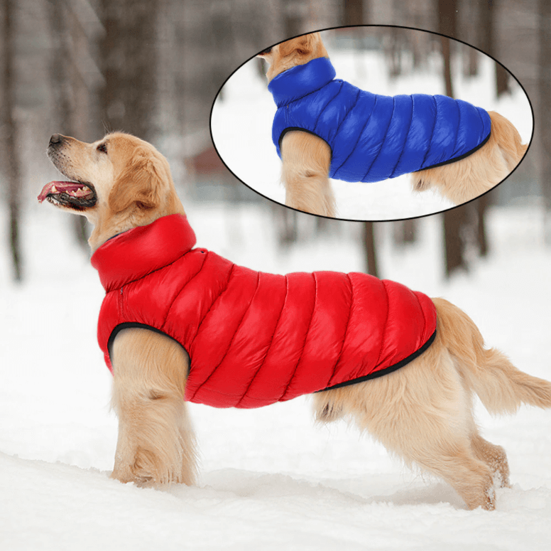 Stilfull hundekåpe i vendbart design. Varm, vanntett og vindtett for komfortabel vintertur.