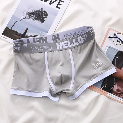 "Herren Boxershorts 8er Pack: Elegantes, vielseitiges Design in verschiedenen Farben, ideal für Komfort und Stil."