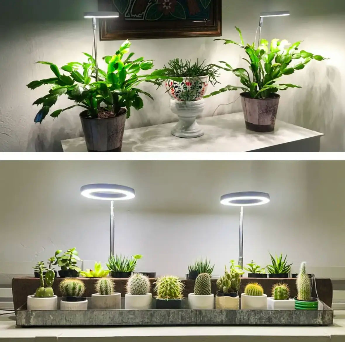 "LED Pflanzenlampe mit Vollspektrumlicht und höhenverstellbarem Ständer für optimales Pflanzenwachstum."