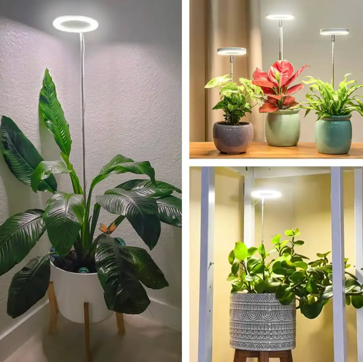 "LED Pflanzenlampe mit Vollspektrumlicht und höhenverstellbarem Ständer für optimales Pflanzenwachstum."