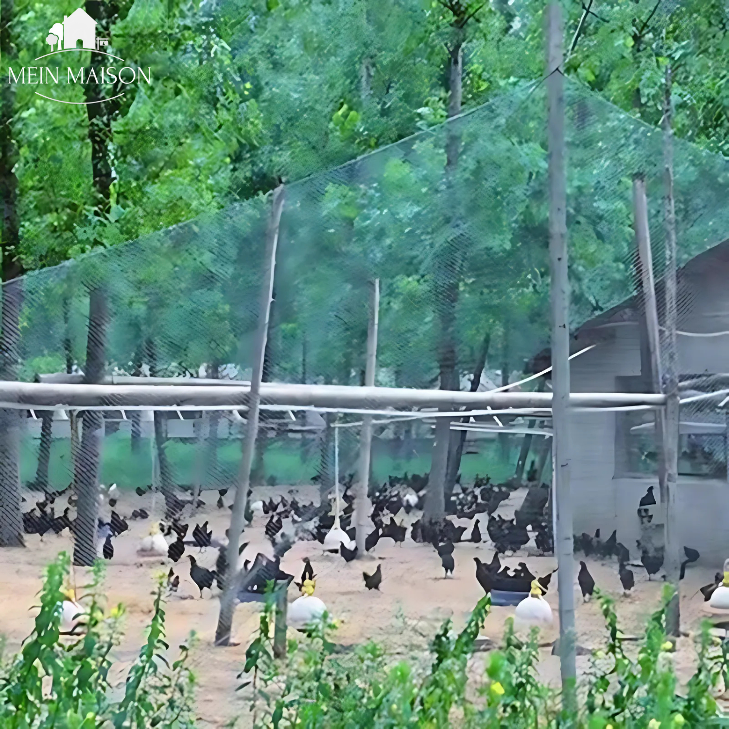 Detaljbilde av nettet