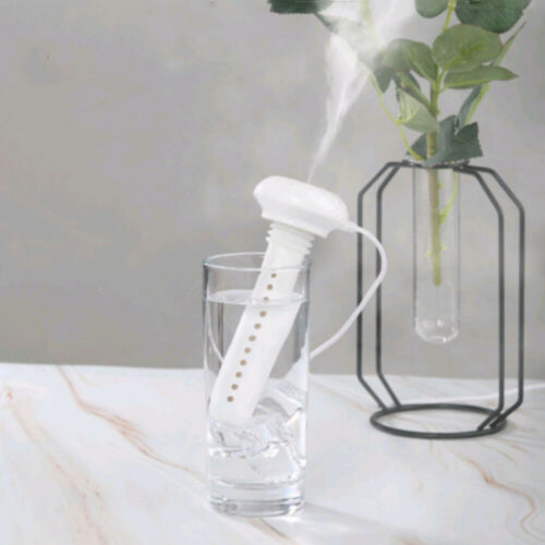 Innovativ vannflaske luftfukter med USB, for frisk luft og eteriske oljer på farten.