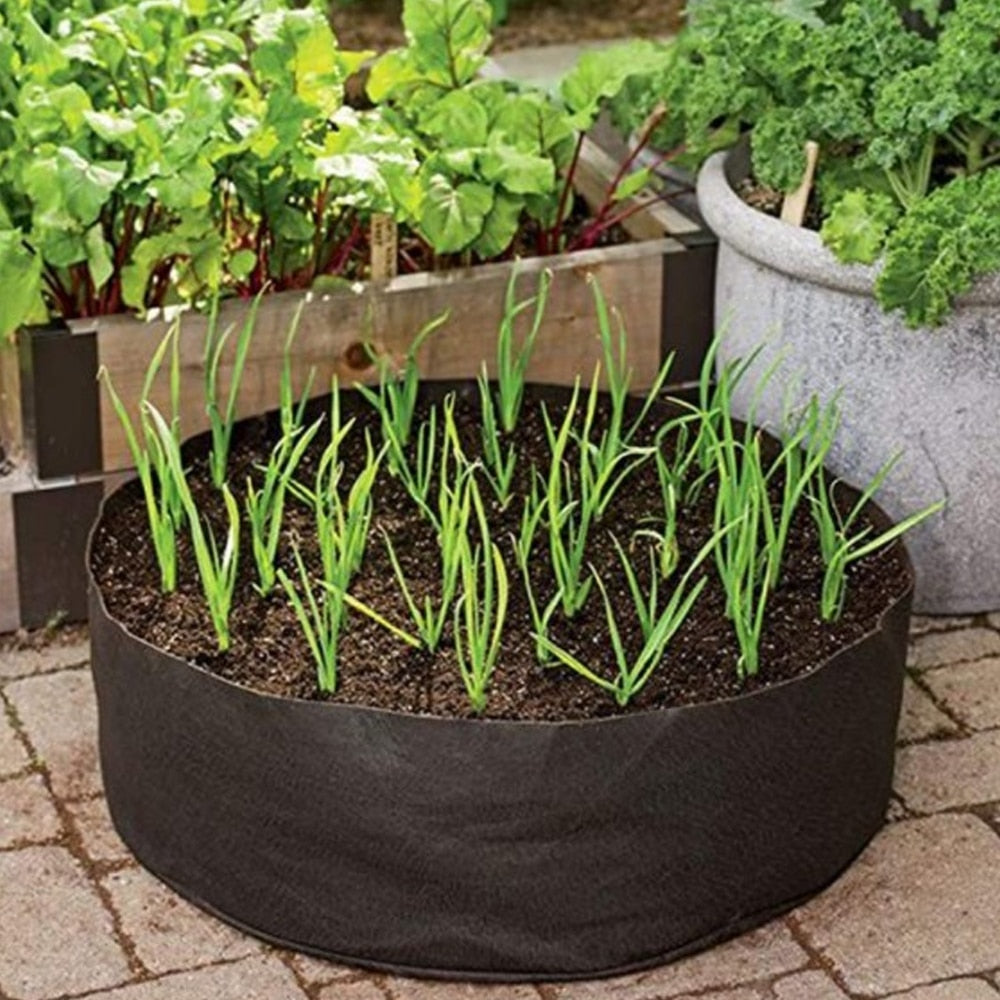 Sett med grå, bærbare vokseposer i filt, klare for dyrking av grønnsaker på balkong eller terrasse.
