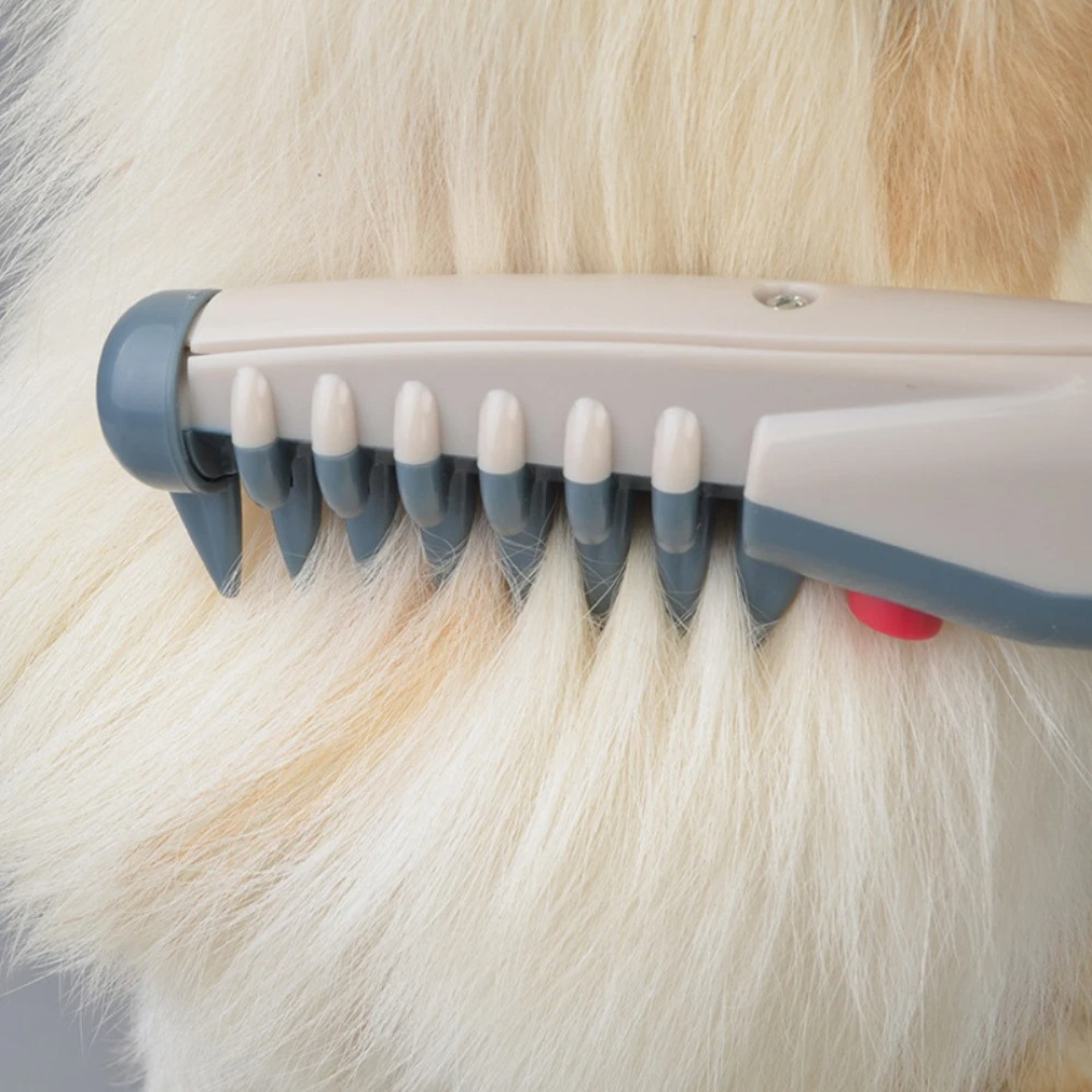 Skånsom pelspleie med beige kjæledyrtrimmer. Essensiell for regelmessig hundestell og kattestell hjemme.