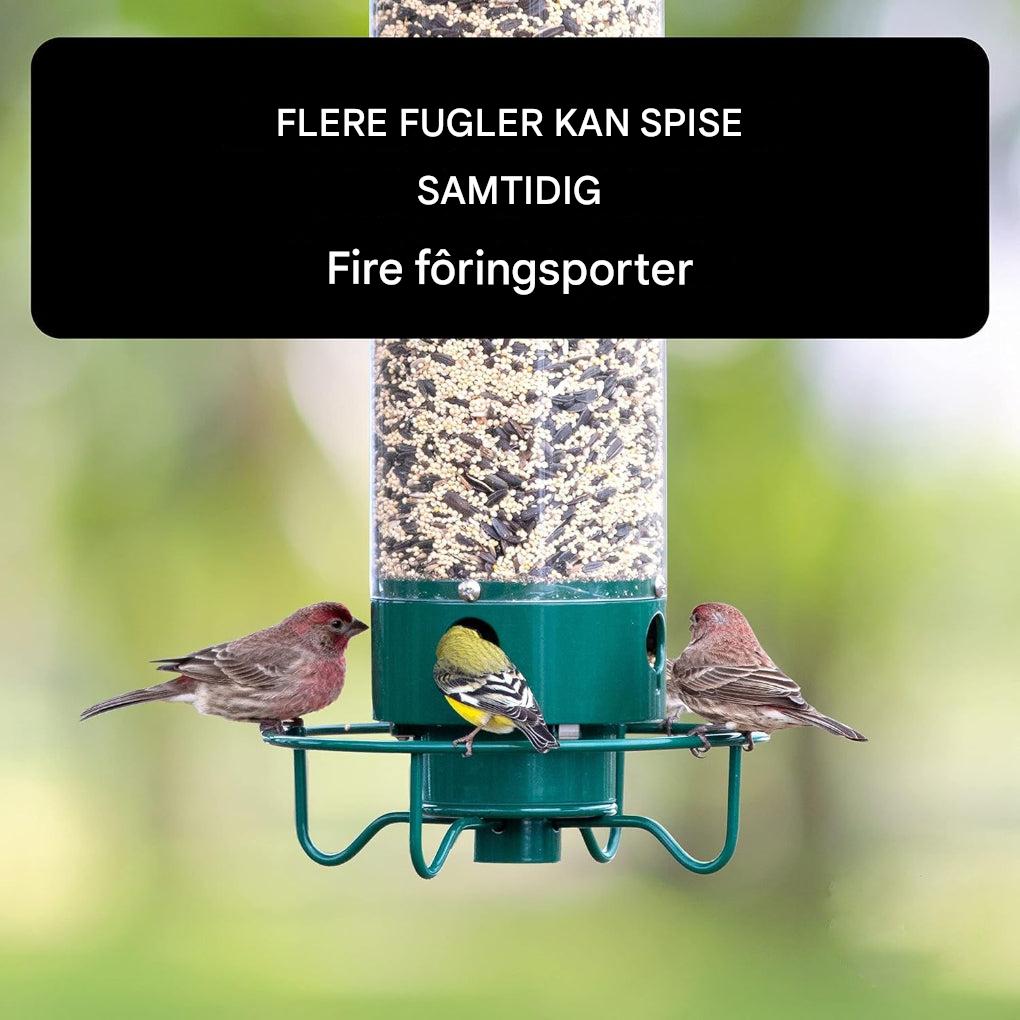Fyll denne ekornsikre fuglemateren med fuglefrø for å tiltrekke småfugl til din hage.