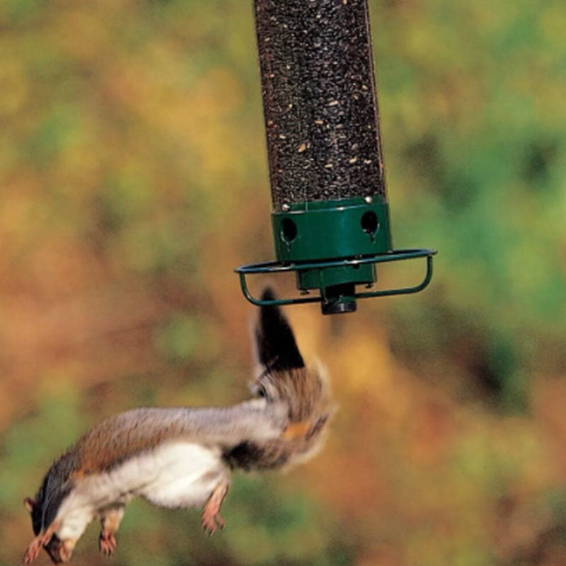 Premium ekornsikker fuglemater. Nyt fuglelivet i hagen uten uønskede ekorn.