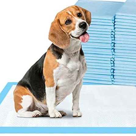 Stabel med engangs tisseputer for hund. Ideell for valp pottetrening, absorberende og hygienisk løsning.
