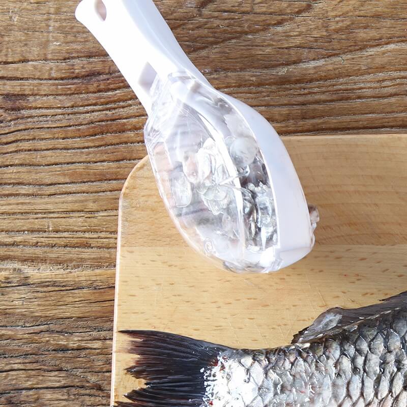 Fiskeskæl-fjerner med innovativ skælopsamler til hurtig og stænkfri fjernelse af fiskeskæl