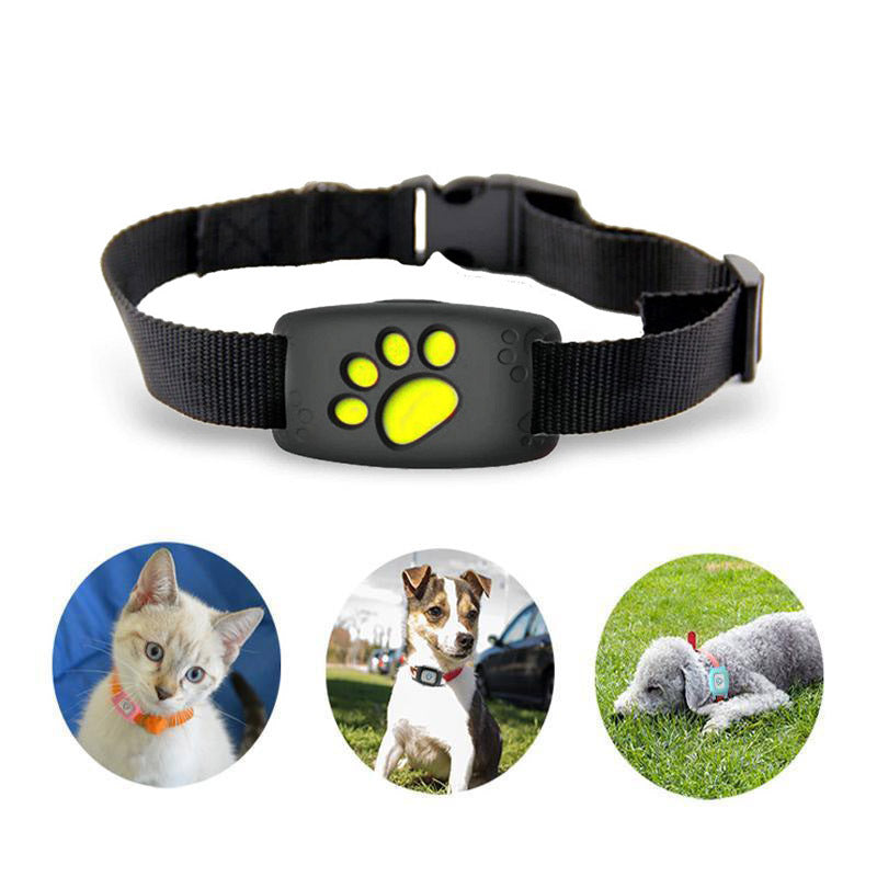 Kompakt kjæledyr GPS-tracker, enkel å feste på halsbånd. Sikrer konstant overvåking av hund og katt.
